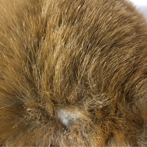 24K Polar Puff Special Effects 5718 Deedee Brown Bear 13" Plush Bow Ear Tag 1989 - Picture 6 of 16